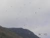 pict0009