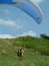 DSCF0556