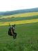 DSCF0591