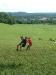 DSCF0358