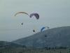 DSCF0135