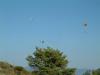 DSCF0264
