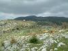DSCF0147