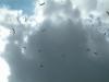 DSCF0196