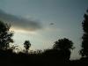 DSCF0426