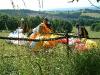DSCF0638