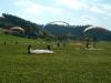 DSCF0616