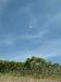 DSCF0108
