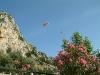 DSCF0564