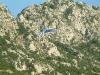 DSCF0691