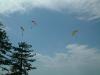 DSCF0098