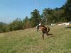 DSCF0058