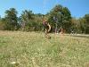 DSCF0071
