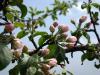 DSCN0448a