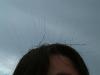 DSCF0268