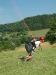 DSCF0464
