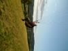 DSCF0293