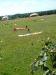 DSCF0356