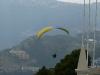 monacop1110201