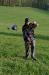 sam_6303