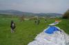 sam_6331