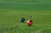 sam_6394