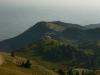 2grappa0982