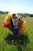 sam_4353