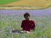 castelluccio103