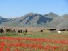 castelluccio26