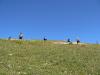 castelluccio55