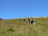 castelluccio61
