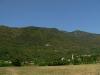 grappa0811