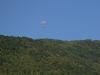 grappa0813