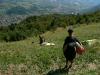 grappa0819