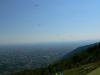 grappa0823