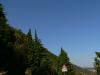 grappa0828