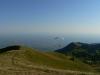 grappa0840