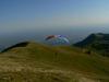 grappa0844