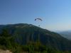 grappa0852