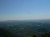 grappa0856