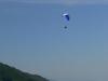 grappa0864