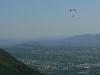 grappa0868