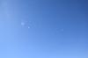 fff4