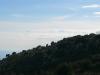 monaco2013106