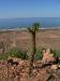 morocco18