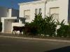 morocco3