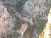 dscn5448