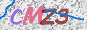 Kontrolní text