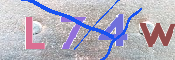 Kontrolní text